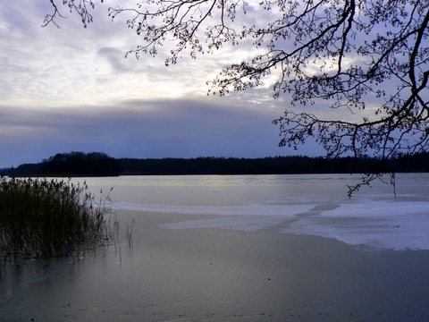Kliknij na zdjęcie, żeby zobaczyć w pełnych wymiarach