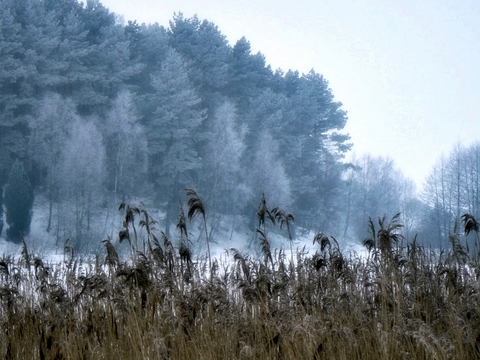 Kliknij na zdjęcie, żeby zobaczyć w pełnych wymiarach