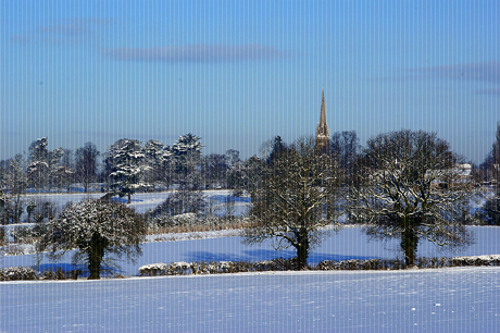Kliknij na zdjęcie, żeby zobaczyć w pełnych wymiarach