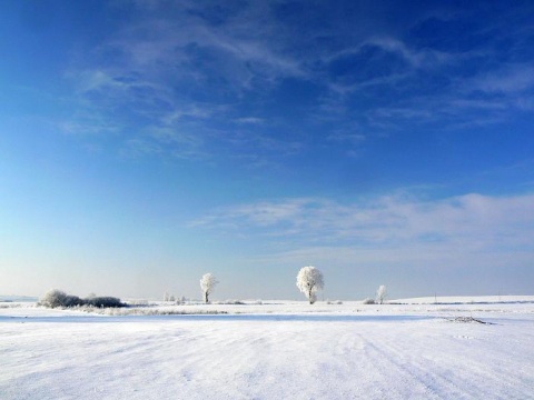 Kliknij na zdjęcie, żeby zobaczyć w pełnych wymiarach