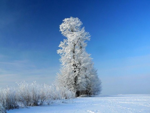 Kliknij na zdjęcie, żeby zobaczyć w pełnych wymiarach