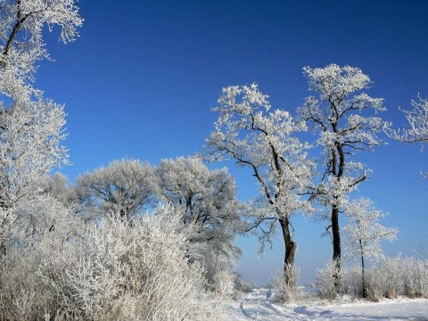 Kliknij na zdjęcie, żeby zobaczyć w pełnych wymiarach