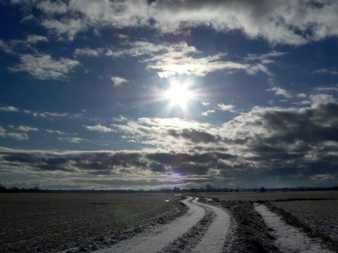 Kliknij na zdjęcie, żeby zobaczyć w pełnych wymiarach