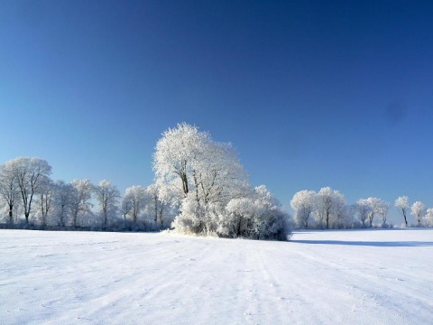 Kliknij na zdjęcie, żeby zobaczyć w pełnych wymiarach