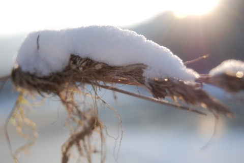 Kliknij na zdjęcie, żeby zobaczyć w pełnych wymiarach