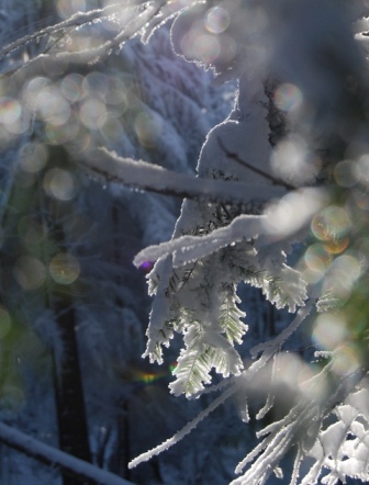 Kliknij na zdjęcie, żeby zobaczyć w pełnych wymiarach