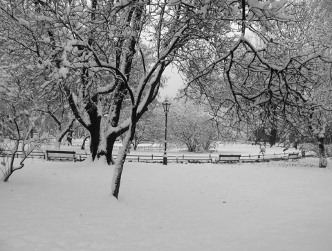 Kliknij na zdjęcie, żeby zobaczyć w pełnych wymiarach