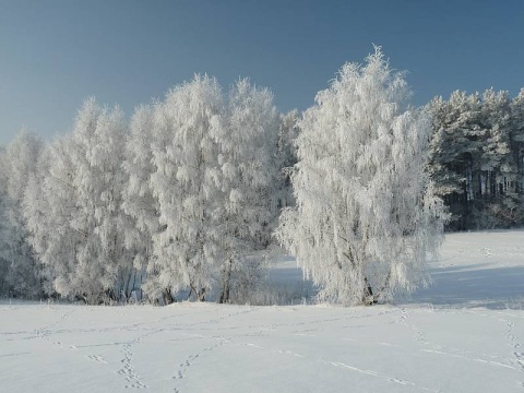 Kliknij na zdjęcie, żeby zobaczyć w pełnych wymiarach