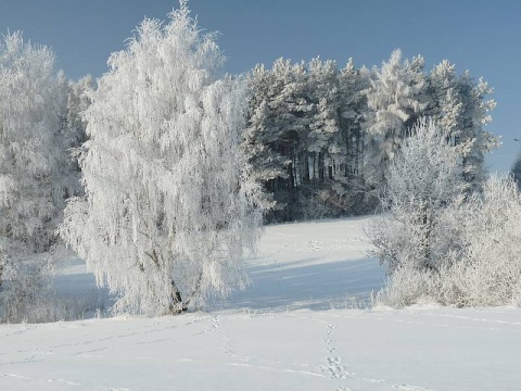 Kliknij na zdjęcie, żeby zobaczyć w pełnych wymiarach