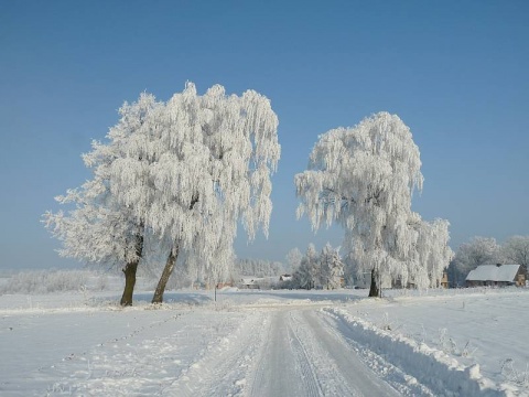 Kliknij na zdjęcie, żeby zobaczyć w pełnych wymiarach