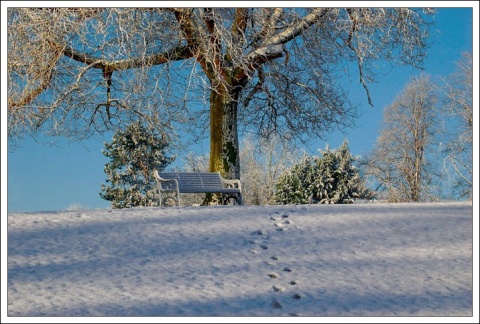 Kliknij na zdjęcie, żeby zobaczyć w pełnych wymiarach