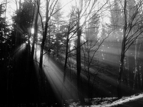 Kliknij na zdjęcie, żeby zobaczyć w pełnych wymiarach