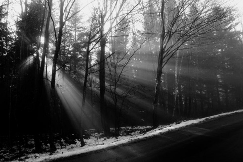 Kliknij na zdjęcie, żeby zobaczyć w pełnych wymiarach