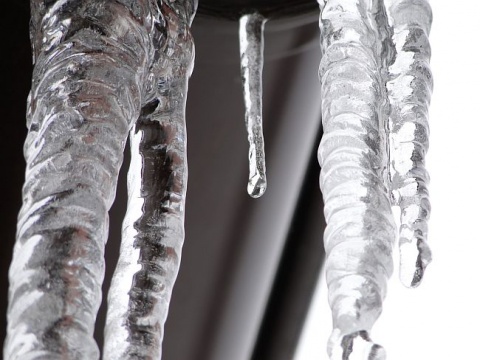 Kliknij na zdjęcie, żeby zobaczyć w pełnych wymiarach