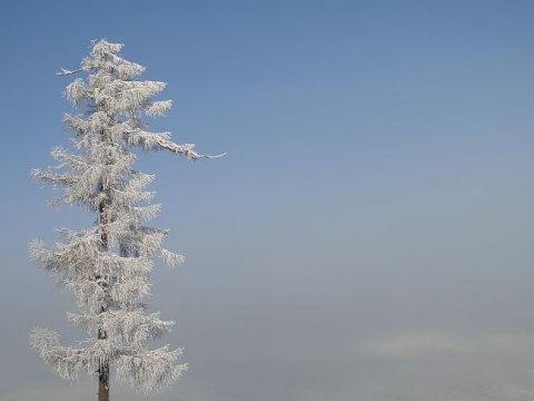 Kliknij na zdjęcie, żeby zobaczyć w pełnych wymiarach