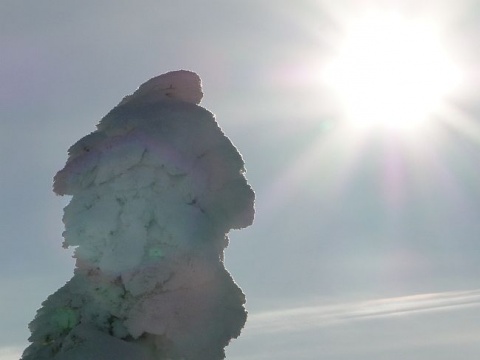 Kliknij na zdjęcie, żeby zobaczyć w pełnych wymiarach