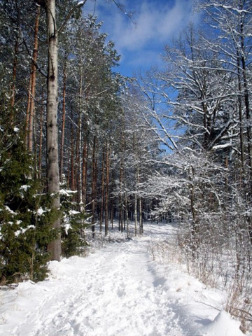Kliknij na zdjęcie, żeby zobaczyć w pełnych wymiarach