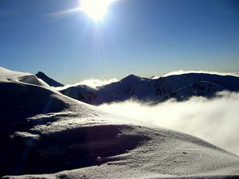 Kliknij na zdjęcie, żeby zobaczyć w pełnych wymiarach