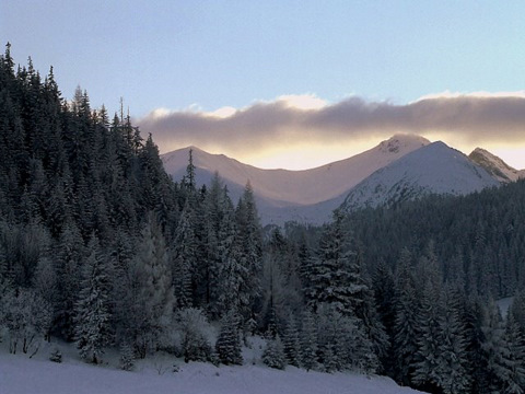 Kliknij na zdjęcie, żeby zobaczyć w pełnych wymiarach