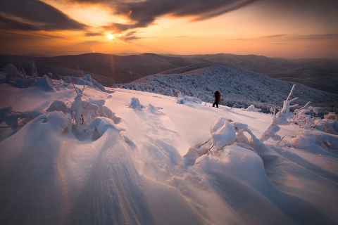 Kliknij na zdjęcie, żeby zobaczyć w pełnych wymiarach