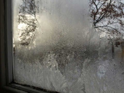 Kliknij na zdjęcie, żeby zobaczyć w pełnych wymiarach