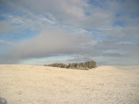 Kliknij na zdjęcie, żeby zobaczyć w pełnych wymiarach