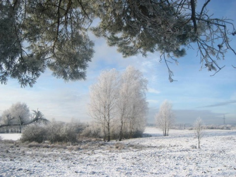 Kliknij na zdjęcie, żeby zobaczyć w pełnych wymiarach