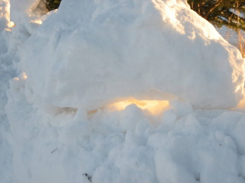 Kliknij na zdjęcie, żeby zobaczyć w pełnych wymiarach