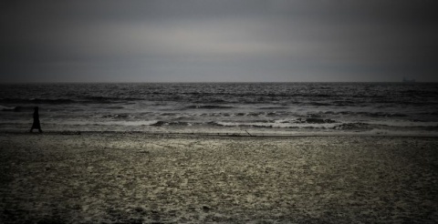 Kliknij na zdjęcie, żeby zobaczyć w pełnych wymiarach