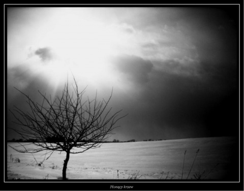 Kliknij na zdjęcie, żeby zobaczyć w pełnych wymiarach