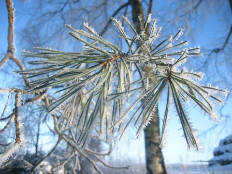 Kliknij na zdjęcie, żeby zobaczyć w pełnych wymiarach