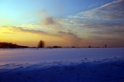 Kliknij na zdjęcie, żeby zobaczyć w pełnych wymiarach