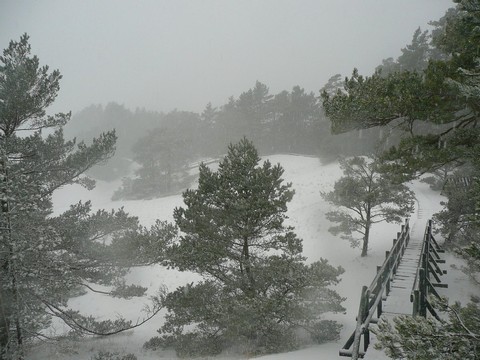 Kliknij na zdjęcie, żeby zobaczyć w pełnych wymiarach