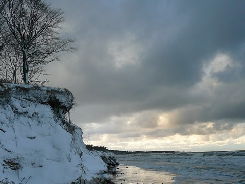 Kliknij na zdjęcie, żeby zobaczyć w pełnych wymiarach