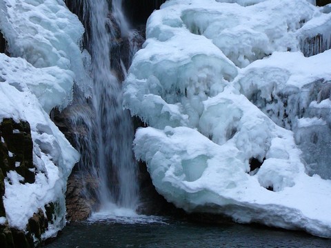 Kliknij na zdjęcie, żeby zobaczyć w pełnych wymiarach