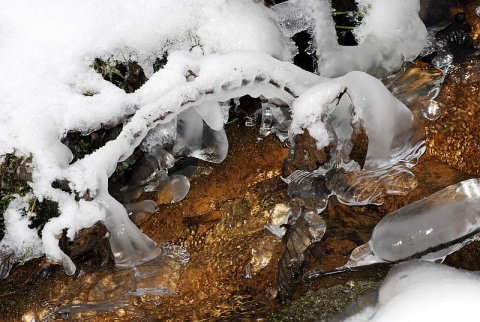 Kliknij na zdjęcie, żeby zobaczyć w pełnych wymiarach