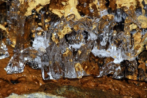 Kliknij na zdjęcie, żeby zobaczyć w pełnych wymiarach