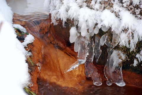 Kliknij na zdjęcie, żeby zobaczyć w pełnych wymiarach