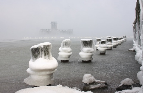 Kliknij na zdjęcie, żeby zobaczyć w pełnych wymiarach