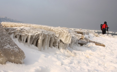 Kliknij na zdjęcie, żeby zobaczyć w pełnych wymiarach