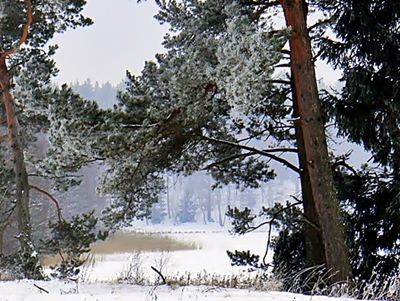 Kliknij na zdjęcie, żeby zobaczyć w pełnych wymiarach