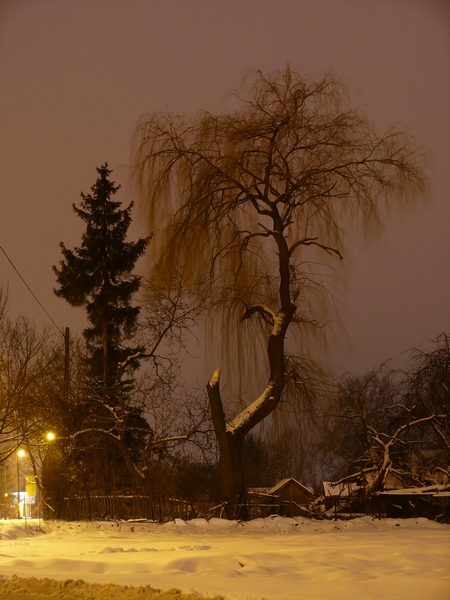 Kliknij na zdjęcie, żeby zobaczyć w pełnych wymiarach