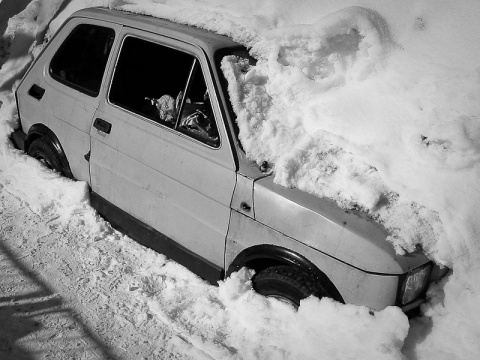 Kliknij na zdjęcie, żeby zobaczyć w pełnych wymiarach