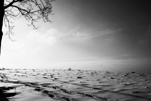 Kliknij na zdjęcie, żeby zobaczyć w pełnych wymiarach