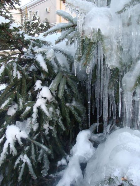 Kliknij na zdjęcie, żeby zobaczyć w pełnych wymiarach