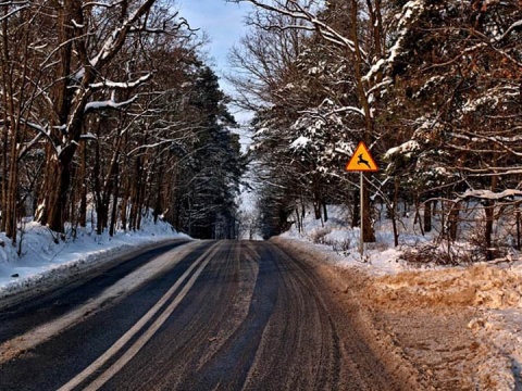 Kliknij na zdjęcie, żeby zobaczyć w pełnych wymiarach