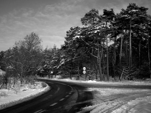 Kliknij na zdjęcie, żeby zobaczyć w pełnych wymiarach