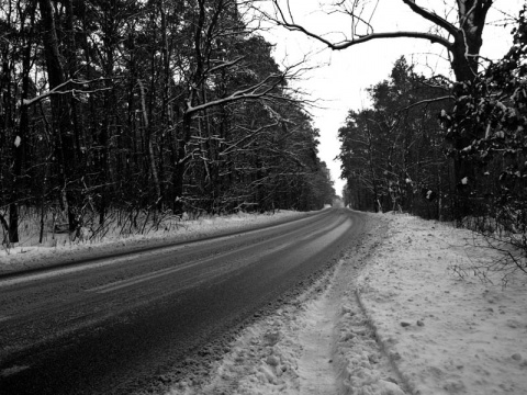 Kliknij na zdjęcie, żeby zobaczyć w pełnych wymiarach