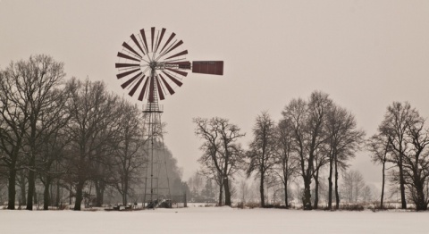 Kliknij na zdjęcie, żeby zobaczyć w pełnych wymiarach