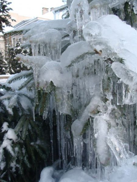 Kliknij na zdjęcie, żeby zobaczyć w pełnych wymiarach